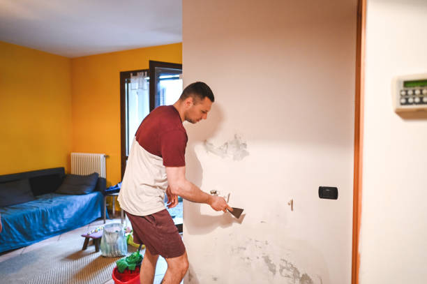 Best Commercial Mold Removal  in Gassville, AR