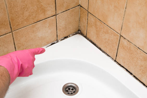 Best Residential Mold Removal  in Gassville, AR